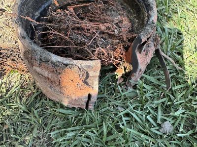 Pipe Leak Detection Services